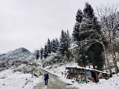 -武陵山森林公园
