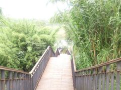 -白鹭湾湿地公园