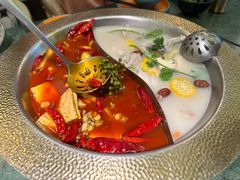 -麻田会 ·鲜活现烹·牛蛙火锅(珠江新城维家思广场店)