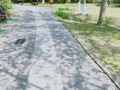 -水绘园