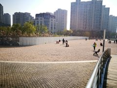 -南翔镇银翔湖公园
