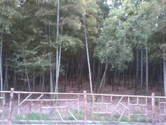 肖甸湖-同里国家湿地公园