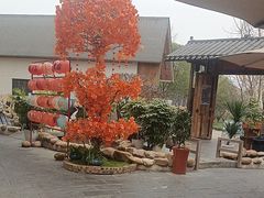 -后湖小院·乡野田园菜