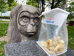 -墨茉点心局(国金街店)