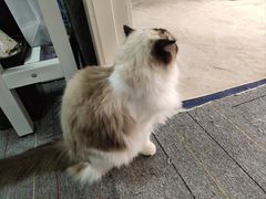 -零纪元VR体验馆·桌游(黄浦店)