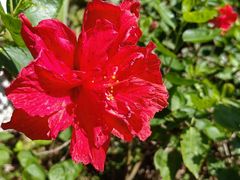 -白沙门生态公园