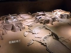 景点-洛阳周王城天子驾六博物馆