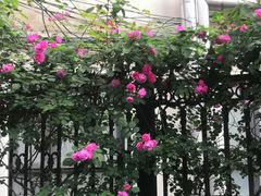 -上海财经大学-新食堂