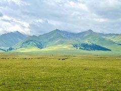 -新疆那拉提国家旅游度假区