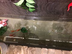 -小龙坎老火锅(北京三里屯店)