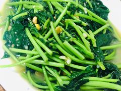 红薯叶-潮汕大排档