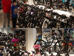 -捷安特自行车(中关村店)