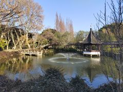 -上海醉白池公园