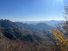 -大岭沟猕猴桃谷风景区
