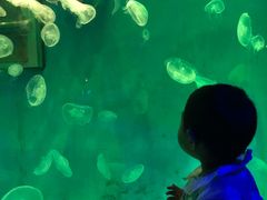-大连圣亚海洋世界