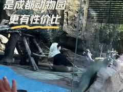 -成都动物园