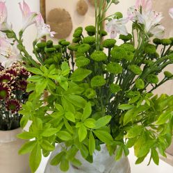 -臻悦医疗美容整形门诊部