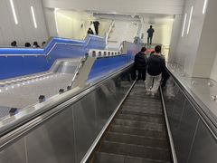 -望京西(地铁站)