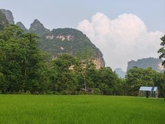 -明仕田园