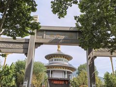-白佛山景区
