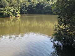 -滴水岩森林公园