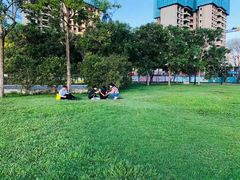 -DJI大疆(深圳华强北曼哈授权体验店)