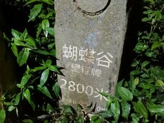 -梧桐山风景名胜区