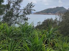 -广东惠东海龟国家级自然保护区