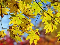 -本溪老边沟风景区