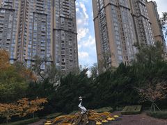 -中山公园