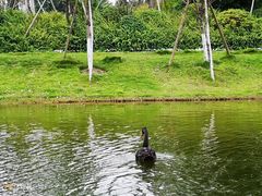 -两江国际影视城