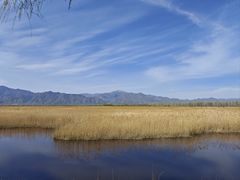 -野鸭湖国家湿地公园