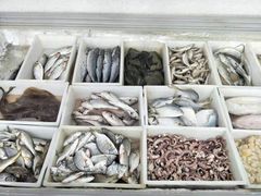 -渔家小院观海海肠捞饭地方菜(环海中路店)