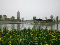 -葛仙湖公园