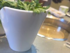 -萧邦音乐会所KTV(向西店)