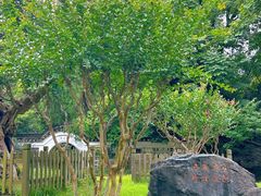 -南山风景名胜区