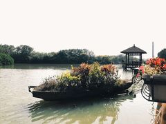 -大湾区中央湿地公园