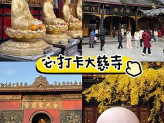 -苏坦土耳其西餐厅(玉林店)