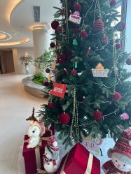 -深圳芙必优医疗美容·抗衰中心