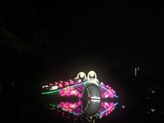 -映月湖公园