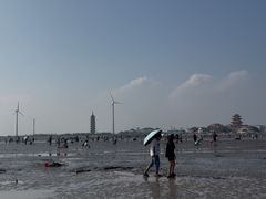 -碧海金沙