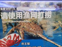 -盒马X会员店(上海森兰商都店)