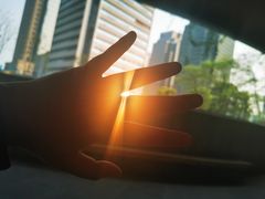 -重庆市江北嘴中央商务区中央公园