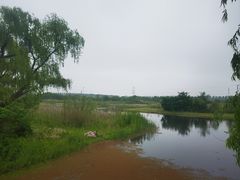 -同里国家湿地公园