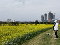 -光明小镇欢乐田园