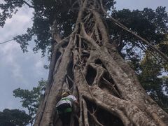 -西双版纳基诺山寨
