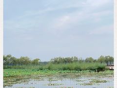 -绿堤公园