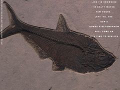 -湖南省地质博物馆