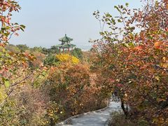 -北京西山国家森林公园