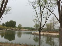 -东郊湿地公园